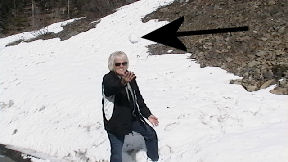 Snowball
